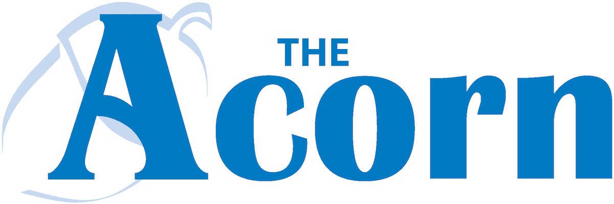 The-Acorn-blue